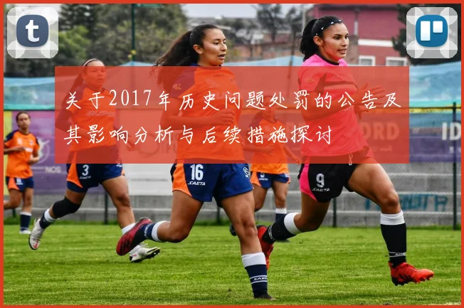 关于2017年历史问题处罚的公告及其影响分析与后续措施探讨